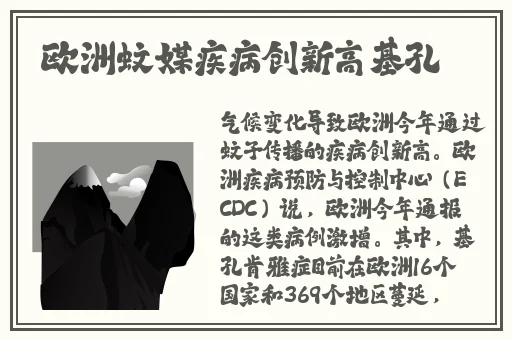 国精产品一二二线视频